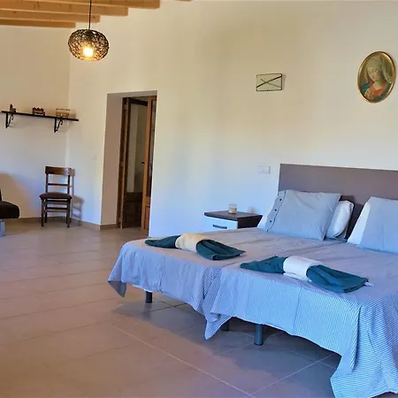 Born 23 - House With Pool In The Centre Of Lluchmayor. Free Wifi Llucmajor  Exterior photo